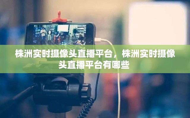 株洲实时摄像头直播平台,株洲实时摄像头直播平台有哪些