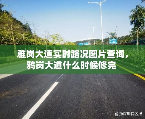 雅岗大道实时路况图片查询,鸦岗大道什么时候修完