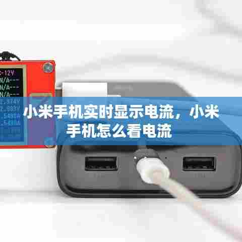 汽车保险 第405页