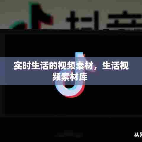 汽车保险 第404页