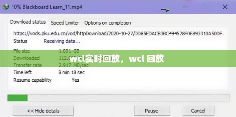 wcl实时回放,wcl 回放