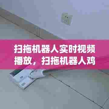 扫拖机器人实时视频播放,扫拖机器人鸡肋吗