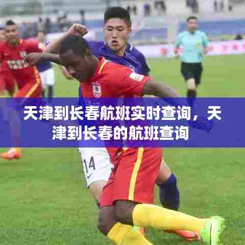 天津到长春航班实时查询,天津到长春的航班查询