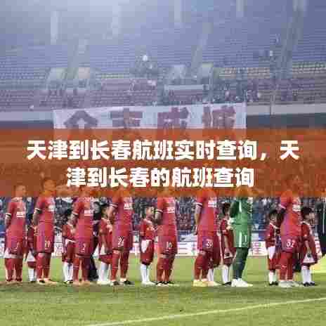 天津到长春航班实时查询,天津到长春的航班查询