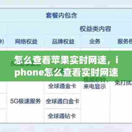 怎么查看苹果实时网速,iphone怎么查看实时网速