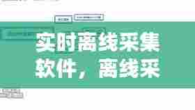 实时离线采集软件，离线采集和实时采集 