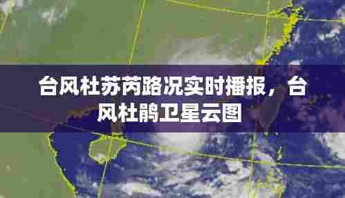 台风杜苏芮路况实时播报,台风杜鹃卫星云图