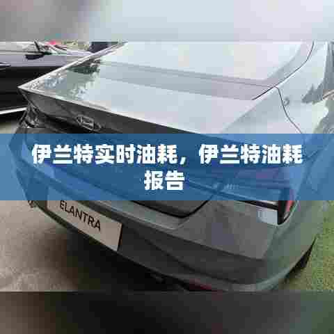伊兰特实时油耗，伊兰特油耗报告 
