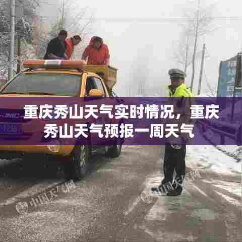 促销活动 第394页