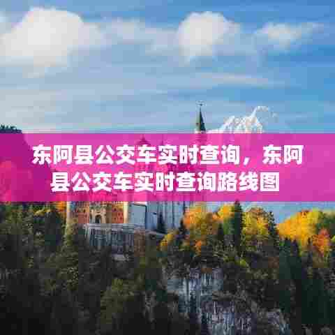 东阿县公交车实时查询，东阿县公交车实时查询路线图 