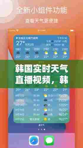 韩国实时天气直播视频，韩国天气预报网站 