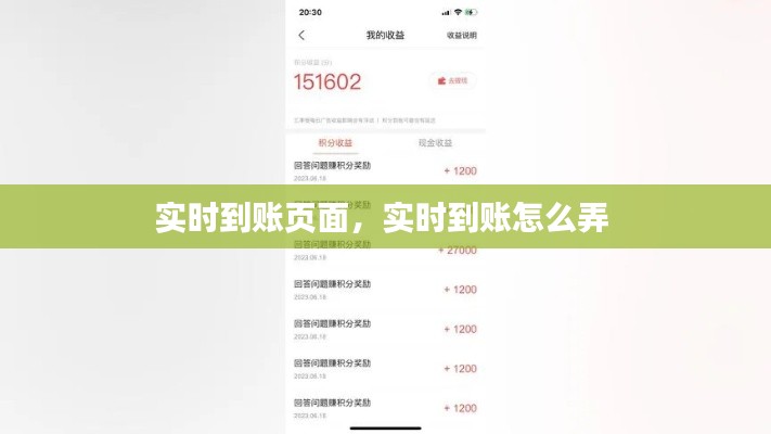 实时到账页面,实时到账怎么弄