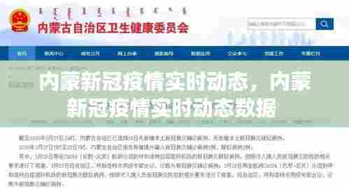 促销活动 第392页