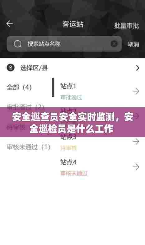 安全巡查员安全实时监测，安全巡检员是什么工作 