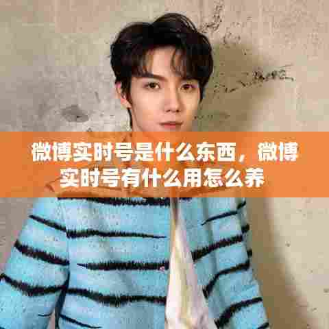 微博实时号是什么东西，微博实时号有什么用怎么养 