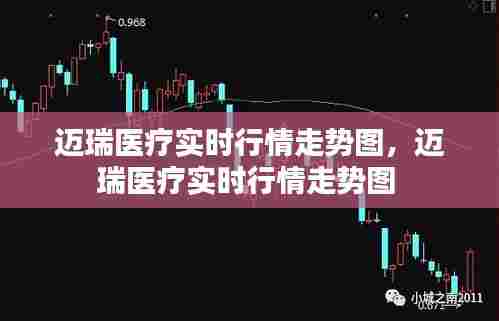 迈瑞医疗实时行情走势图,迈瑞医疗实时行情走势图