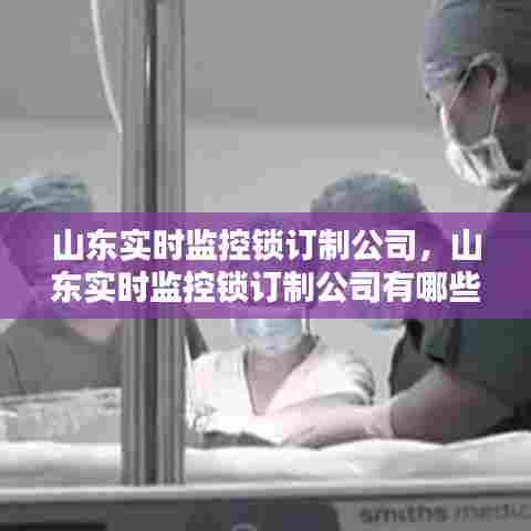 山东实时监控锁订制公司,山东实时监控锁订制公司有哪些