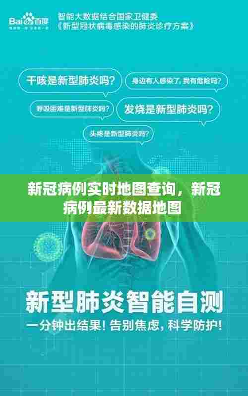 新冠病例实时地图查询，新冠病例最新数据地图 
