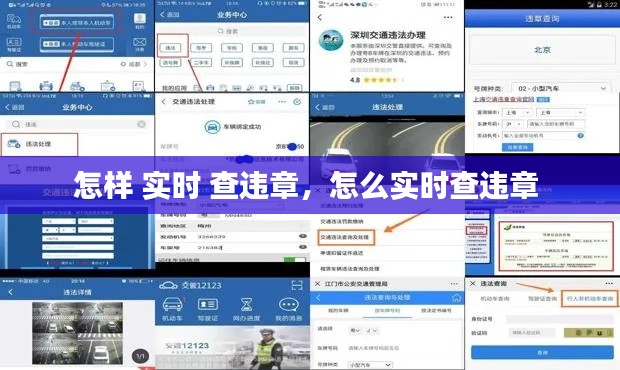 怎样 实时 查违章,怎么实时查违章