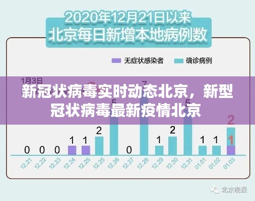 新冠状病毒实时动态北京,新型冠状病毒最新疫情北京