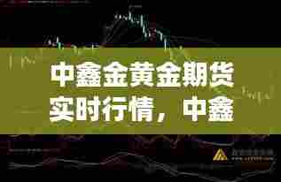 中鑫金黄金期货实时行情，中鑫金业股价 