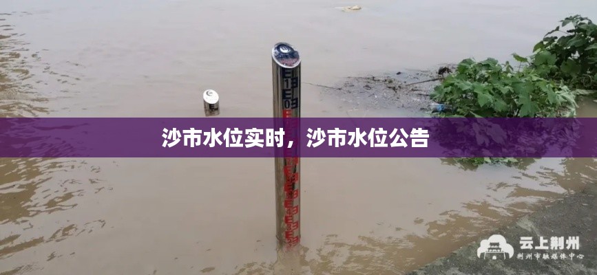 沙市水位实时,沙市水位公告