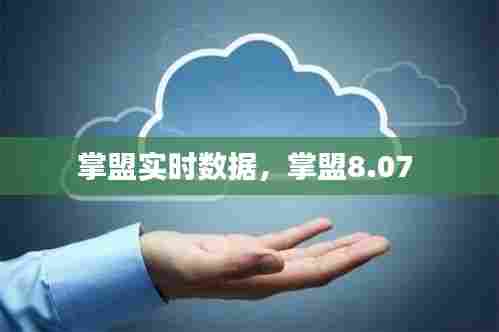 掌盟实时数据,掌盟8.07