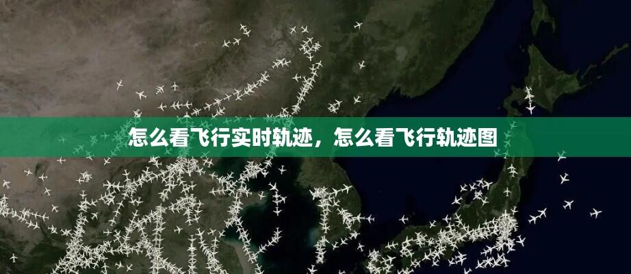 怎么看飞行实时轨迹,怎么看飞行轨迹图