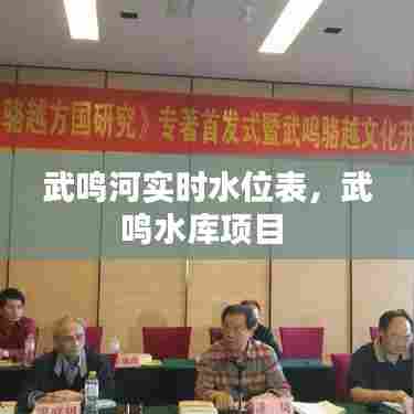 武鸣河实时水位表,武鸣水库项目