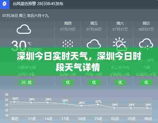 深圳今日实时天气,深圳今日时段天气详情