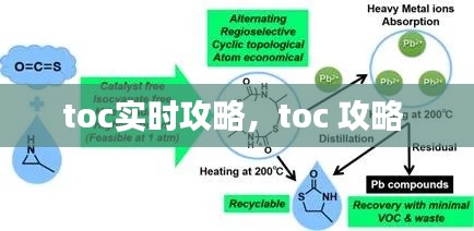 toc实时攻略,toc 攻略