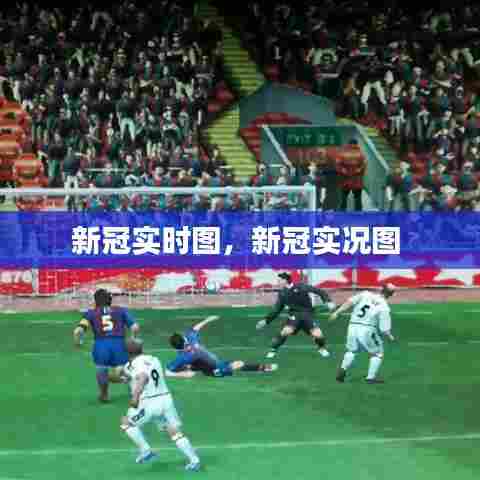 新冠实时图,新冠实况图