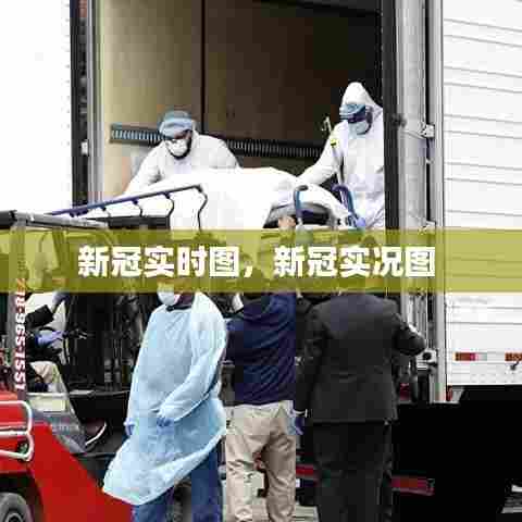 新冠实时图,新冠实况图