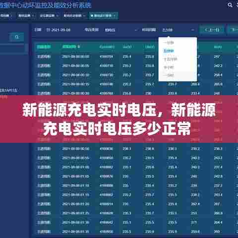 新能源充电实时电压,新能源充电实时电压多少正常