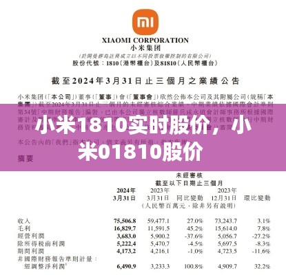 小米1810实时股价,小米01810股价