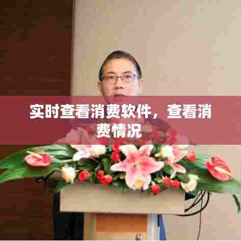 实时查看消费软件,查看消费情况