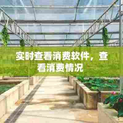 实时查看消费软件,查看消费情况