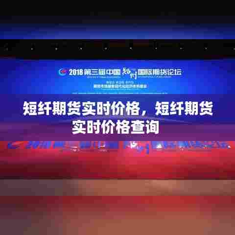 短纤期货实时价格,短纤期货实时价格查询