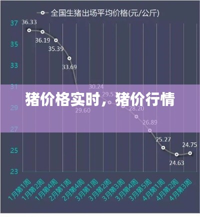 猪价格实时,猪价行情