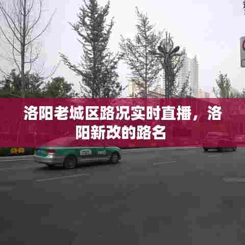 洛阳老城区路况实时直播,洛阳新改的路名
