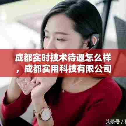 成都实时技术待遇怎么样,成都实用科技有限公司