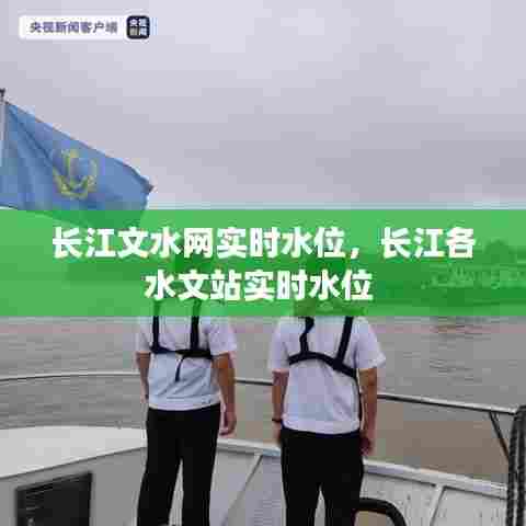 长江文水网实时水位,长江各水文站实时水位