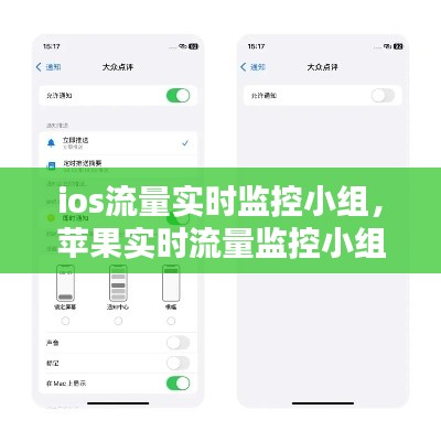 ios流量实时监控小组,苹果实时流量监控小组件