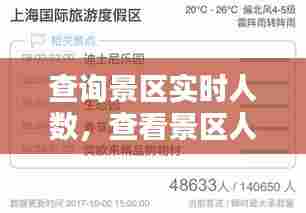 查询景区实时人数,查看景区人数