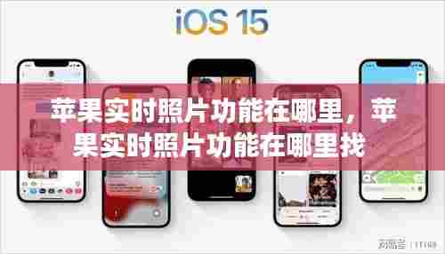 苹果实时照片功能在哪里，苹果实时照片功能在哪里找 