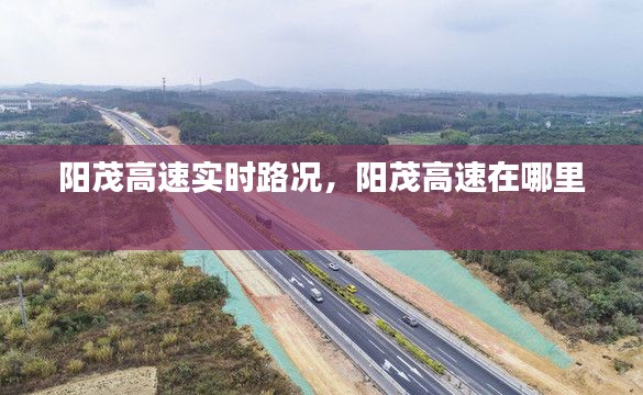 阳茂高速实时路况,阳茂高速在哪里