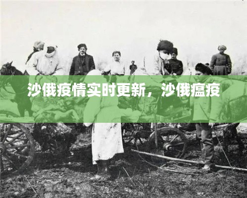 沙俄疫情实时更新,沙俄瘟疫