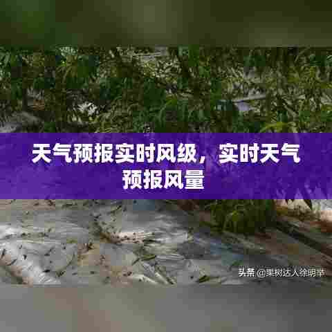天气预报实时风级,实时天气预报风量