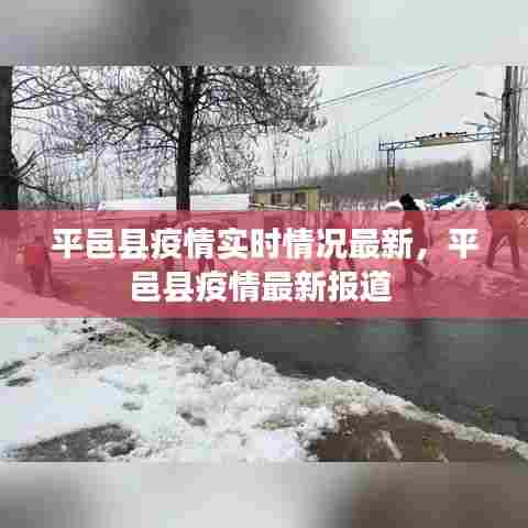 平邑县疫情实时情况最新,平邑县疫情最新报道