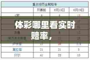 体彩哪里看实时赔率,